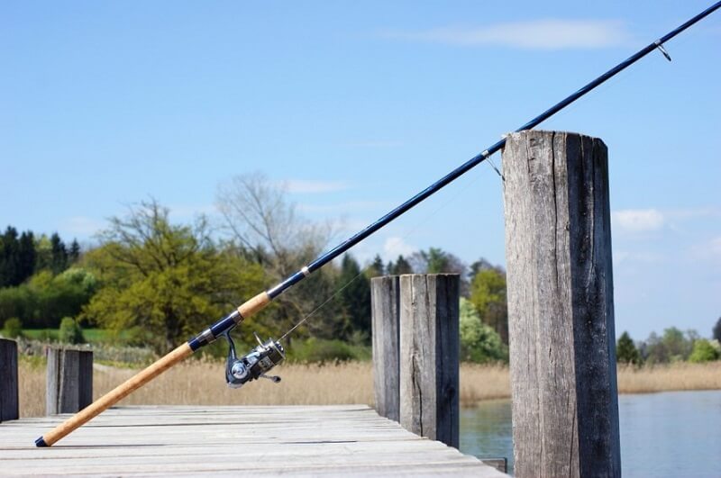 Fishing Rod