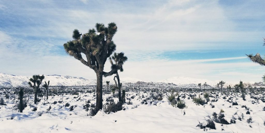 What’s Winter in California Like 3 Ways to Prepare