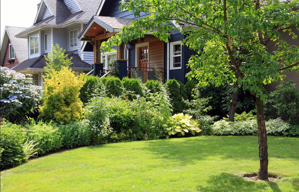 Spring is Here! Yard Care Tips to Keep your Lawn Lush and Green