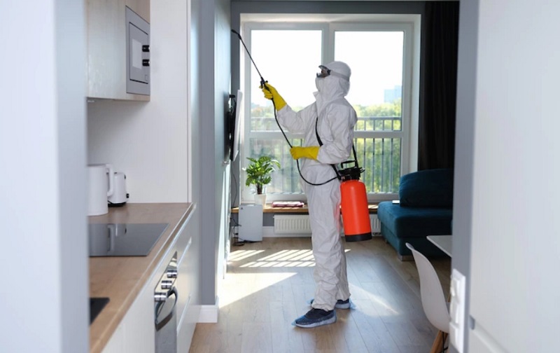 Termite Treatments Home