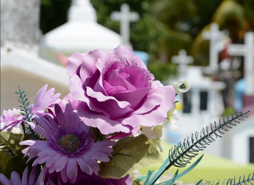 What to Do When a Pet Dies