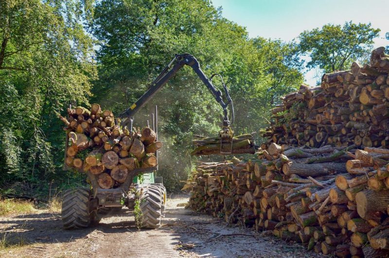 How To Find the Best Forestry Equipment