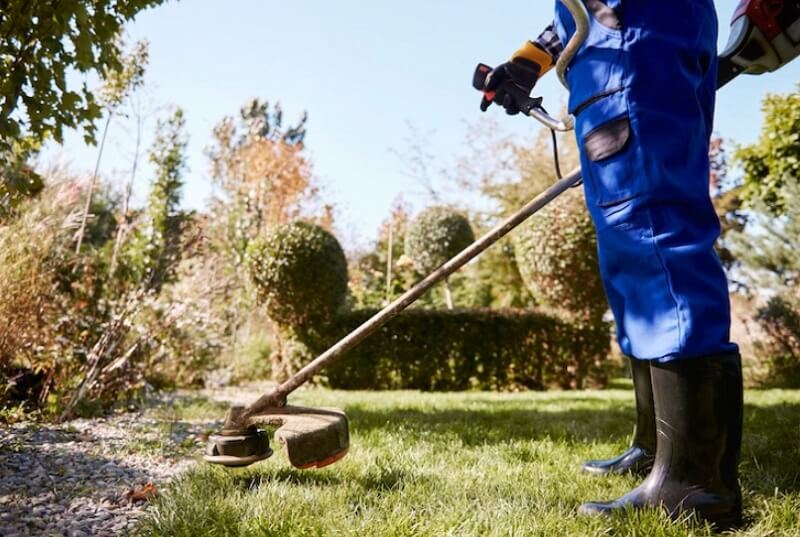 Lawn Care Services