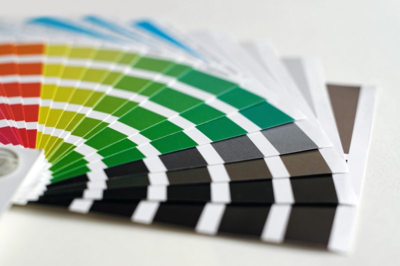 The Best Brand Color Palettes for Catching Your Audience's Attention