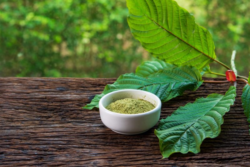 What Are the Different Types of Kratom Strains That Are Grown Today