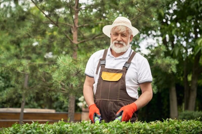 senior-man-triming-the-bushes