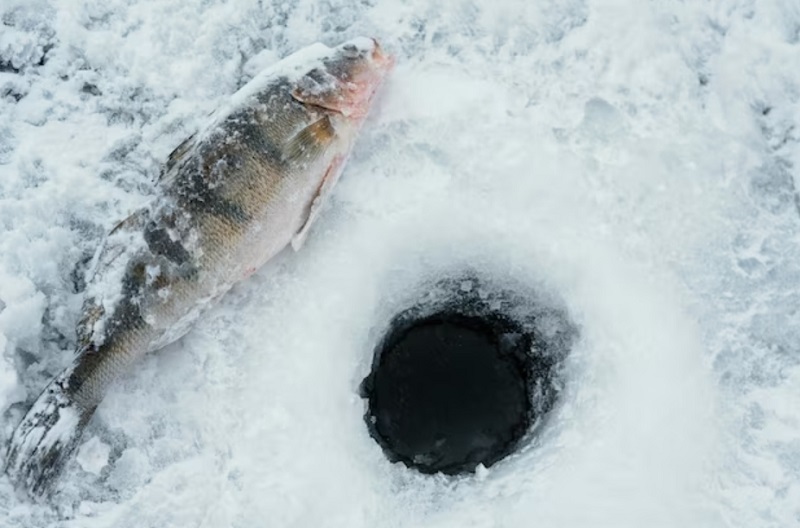 Ice Fishing for Crappie