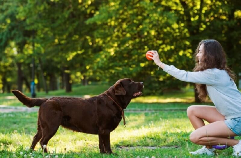 girl playing with her dog in the garden