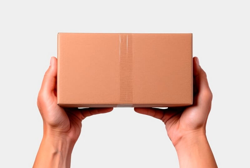 person hand holding box